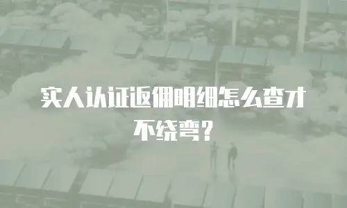 实人认证返佣明细怎么查才不绕弯？
