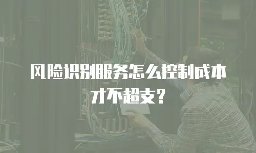 风险识别服务怎么控制成本才不超支？