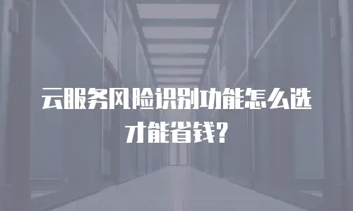 云服务风险识别功能怎么选才能省钱？