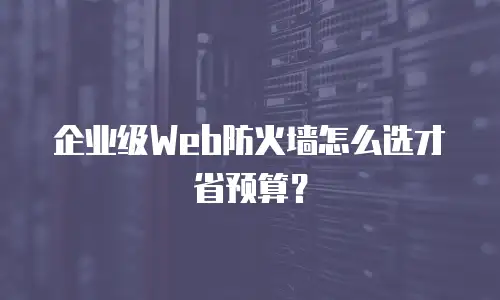 企业级Web防火墙怎么选才省预算？