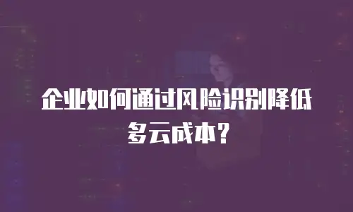 企业如何通过风险识别降低多云成本？