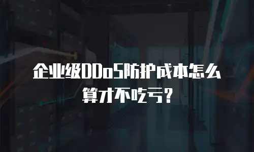 企业级DDoS防护成本怎么算才不吃亏？
