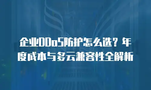 企业DDoS防护怎么选？年度成本与多云兼容性全解析