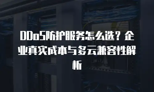 DDoS防护服务怎么选？企业真实成本与多云兼容性解析