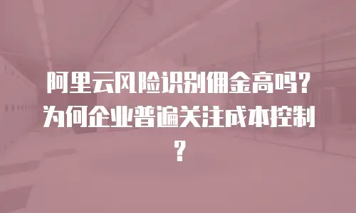 阿里云风险识别佣金高吗？为何企业普遍关注成本控制？