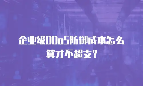 企业级DDoS防御成本怎么算才不超支？