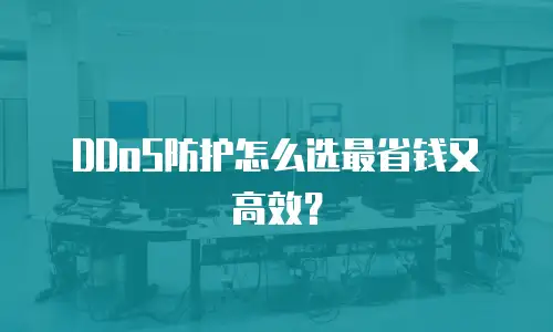 DDoS防护怎么选最省钱又高效？