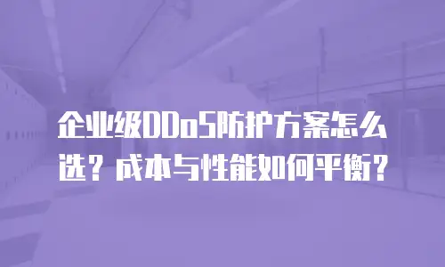 企业级DDoS防护方案怎么选？成本与性能如何平衡？