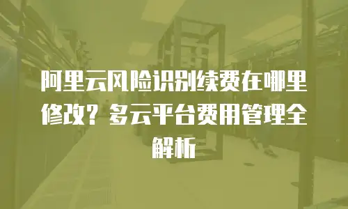 阿里云风险识别续费在哪里修改？多云平台费用管理全解析