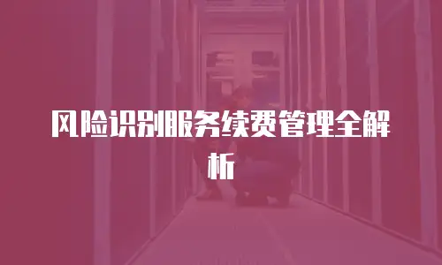 风险识别服务续费管理全解析