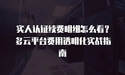 实人认证续费明细怎么看？多云平台费用透明化实战指南