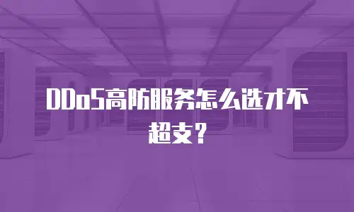DDoS高防服务怎么选才不超支？