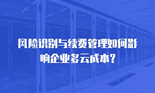 风险识别与续费管理如何影响企业多云成本？