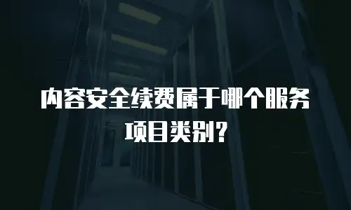内容安全续费属于哪个服务项目类别？