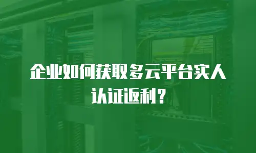 企业如何获取多云平台实人认证返利？