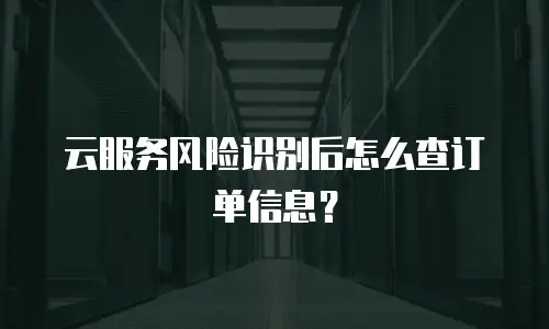 云服务风险识别后怎么查订单信息？