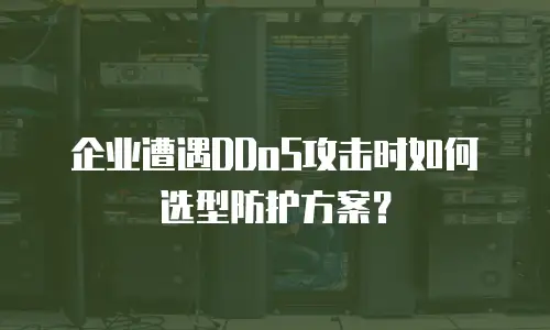 企业遭遇DDoS攻击时如何选型防护方案？