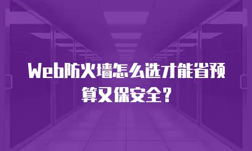 Web防火墙怎么选才能省预算又保安全？