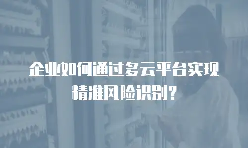 企业如何通过多云平台实现精准风险识别？