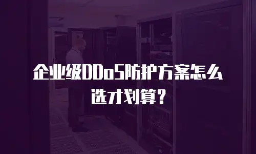 企业级DDoS防护方案怎么选才划算？