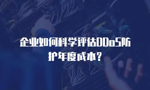 企业如何科学评估DDoS防护年度成本？