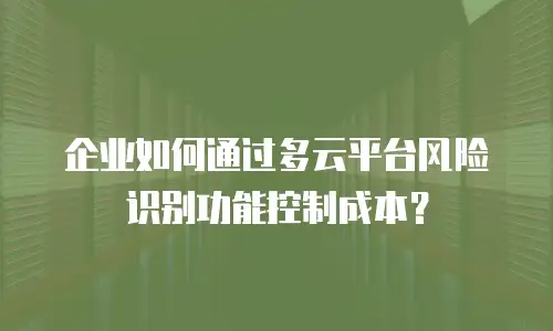企业如何通过多云平台风险识别功能控制成本？