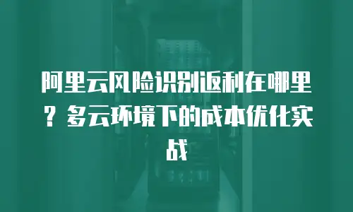 阿里云风险识别返利在哪里？多云环境下的成本优化实战