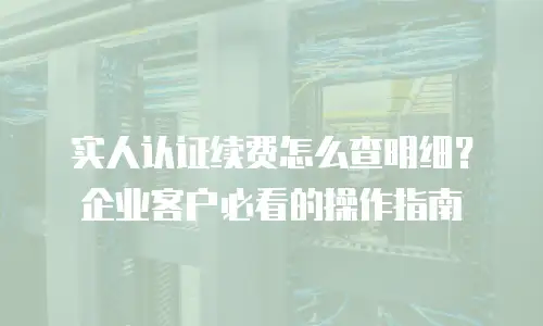 实人认证续费怎么查明细？企业客户必看的操作指南
