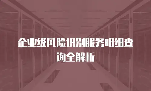 企业级风险识别服务明细查询全解析
