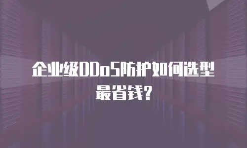 企业级DDoS防护如何选型最省钱？