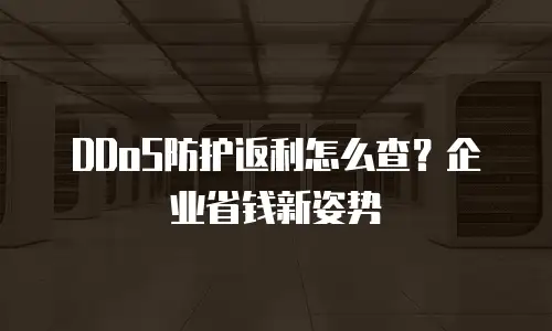 DDoS防护返利怎么查？企业省钱新姿势