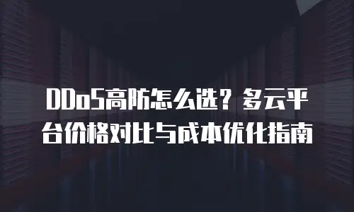 DDoS高防怎么选？多云平台价格对比与成本优化指南