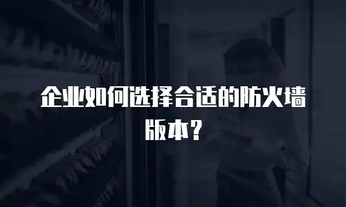 企业如何选择合适的防火墙版本？