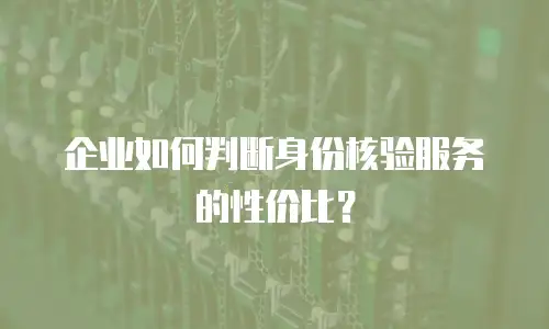 企业如何判断身份核验服务的性价比？