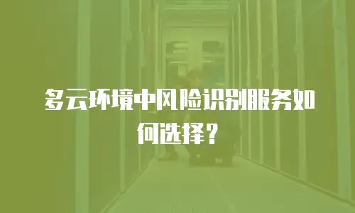 多云环境中风险识别服务如何选择？