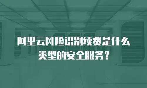 阿里云风险识别续费是什么类型的安全服务？