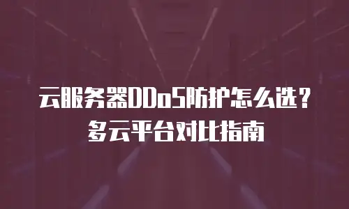 云服务器DDoS防护怎么选？多云平台对比指南