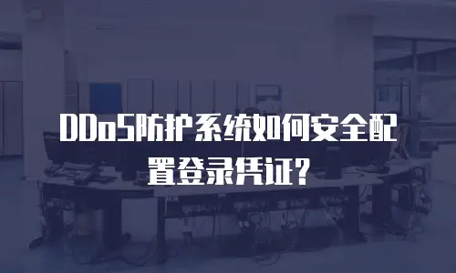 DDoS防护系统如何安全配置登录凭证？