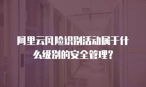 阿里云风险识别活动属于什么级别的安全管理？