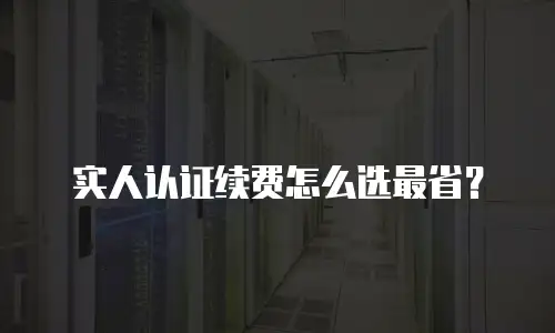 实人认证续费怎么选最省？