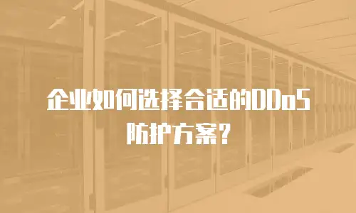 企业如何选择合适的DDoS防护方案？