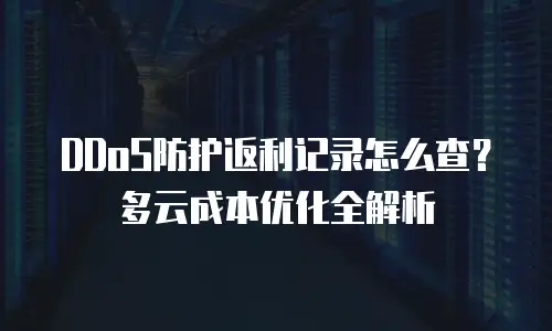 DDoS防护返利记录怎么查？多云成本优化全解析