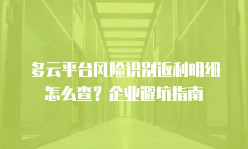 多云平台风险识别返利明细怎么查？企业避坑指南