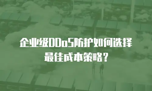 企业级DDoS防护如何选择最佳成本策略？