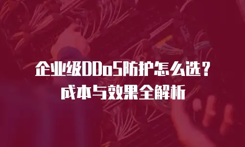 企业级DDoS防护怎么选？成本与效果全解析