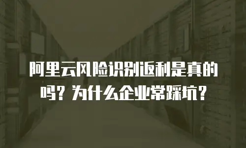 阿里云风险识别返利是真的吗？为什么企业常踩坑？