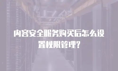 内容安全服务购买后怎么设置权限管理？