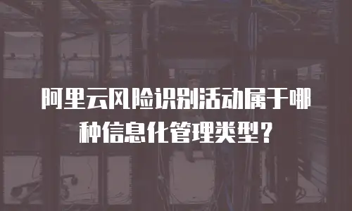 阿里云风险识别活动属于哪种信息化管理类型？