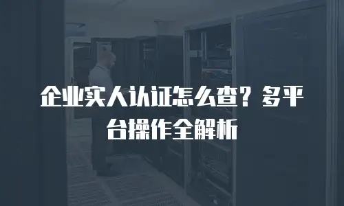 企业实人认证怎么查？多平台操作全解析