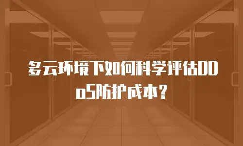 多云环境下如何科学评估DDoS防护成本？